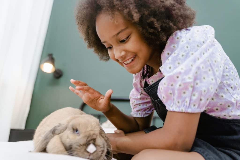 Girl in White Pink and Green Floral Shirt Holding White Rabbit Plush Toy