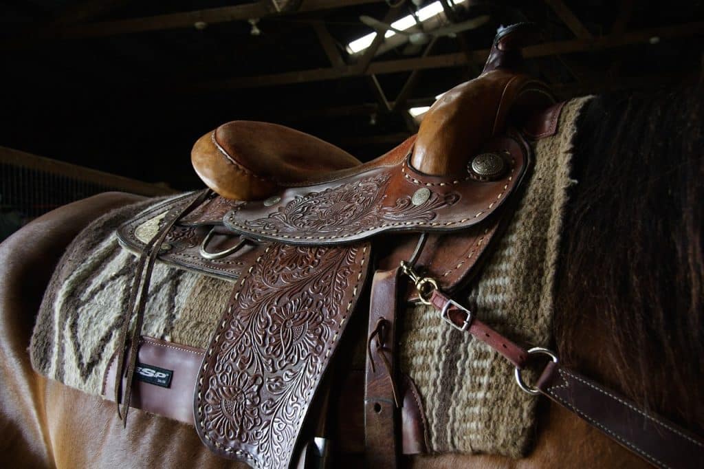 western film, saddle, horse riding