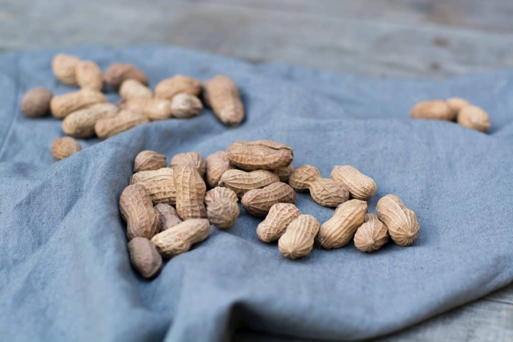 shallow focus photo of peanuts on blue textile