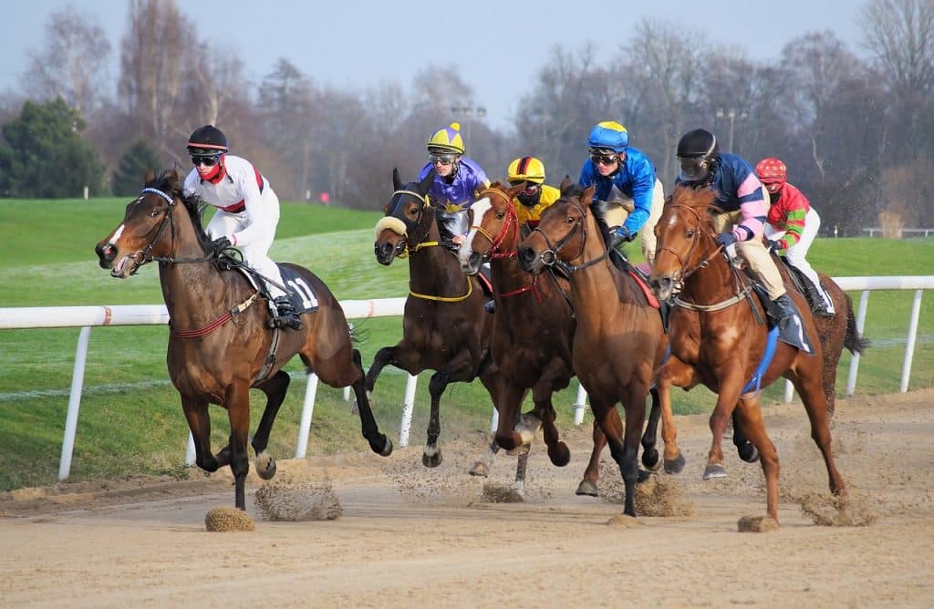 race track, horse, jockey