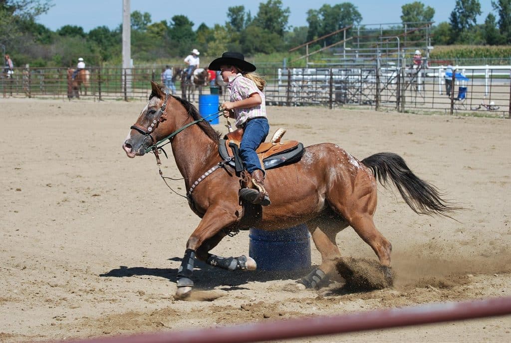 cowgirl, barrel racing, rodeo