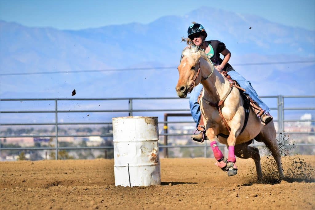 horse, barrel race, rider