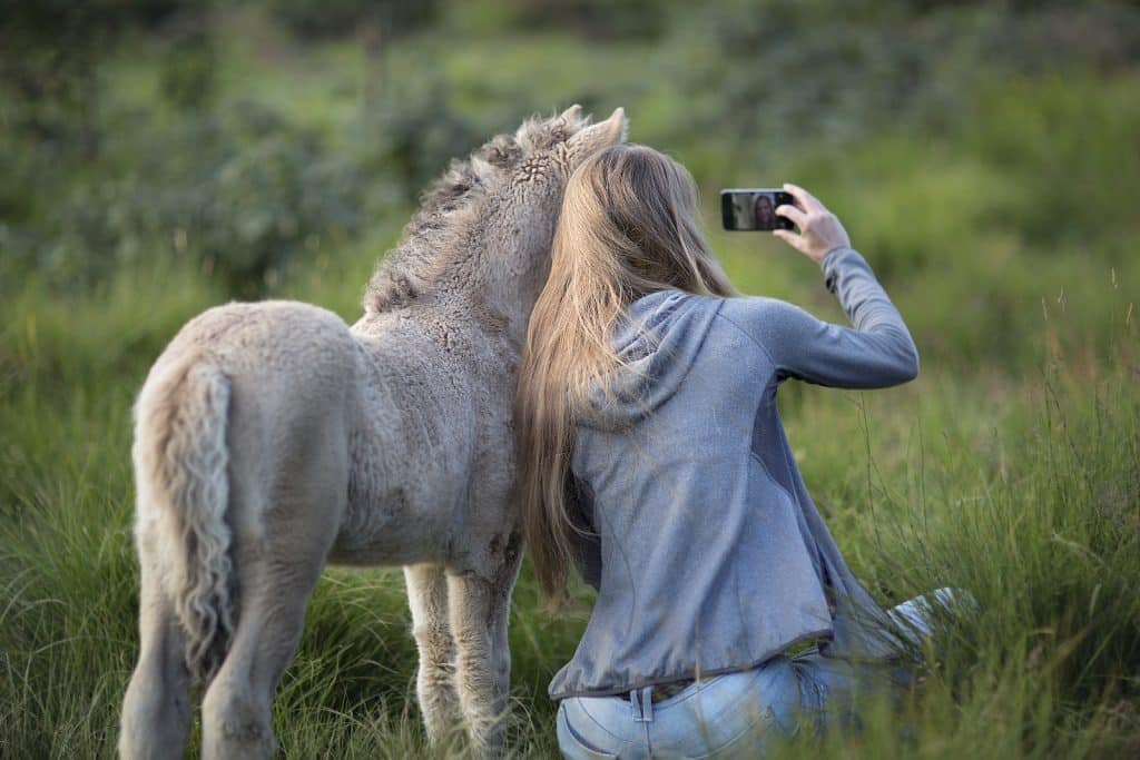Woman Beside Donkey Taking Selfie on Grass